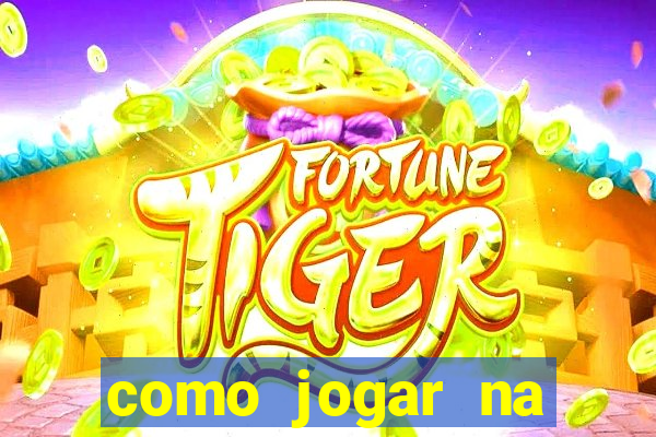 como jogar na seninha online